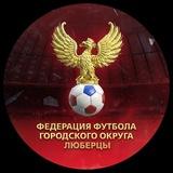 Федерация футбола г.о. Люберцы