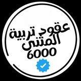 قناة عقود 6000 تربية المثنى