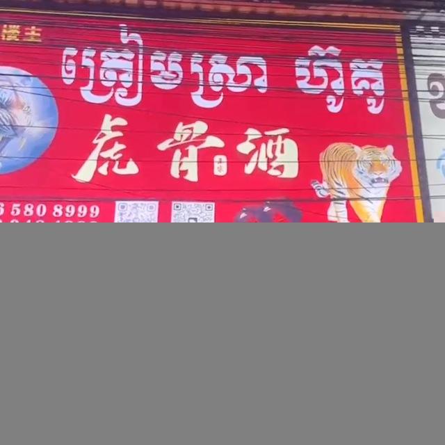 老虎酒🐯西港实体店