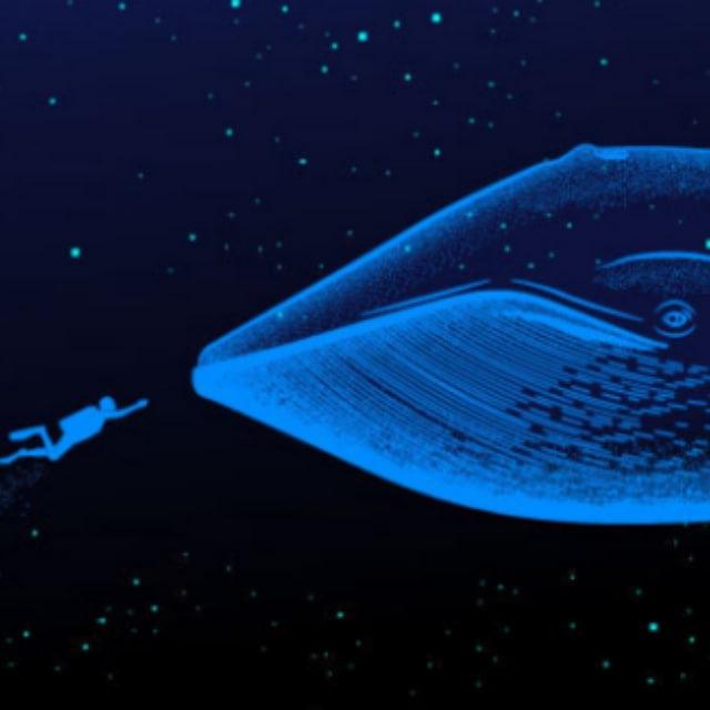 WhalesBtc"ᴮᵗᶜ
