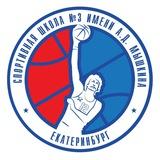 Школа Мышкина