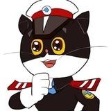 《黑猫•内部极速查档》