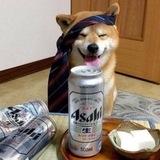 Dog CALLS