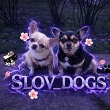SloV_Dogs