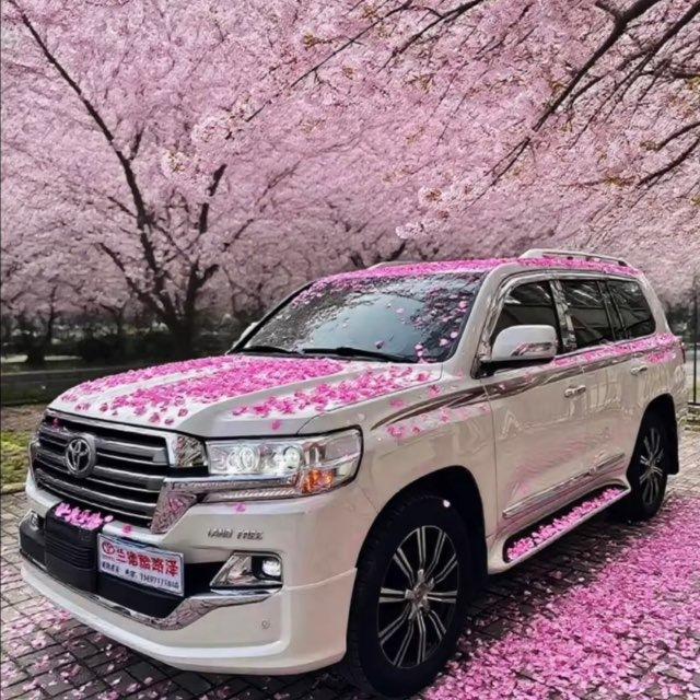 花海的传话筒
