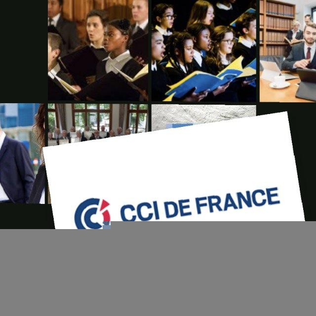 CCIs / Certificat de Formation, Diplôme