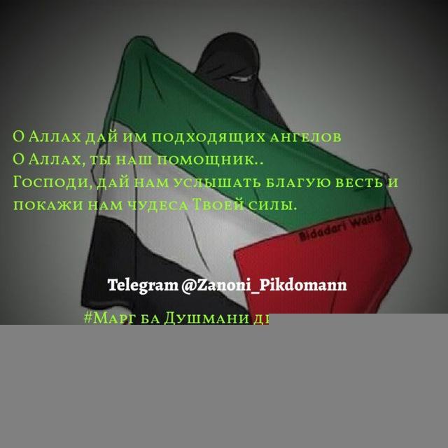 Занони Покдоман