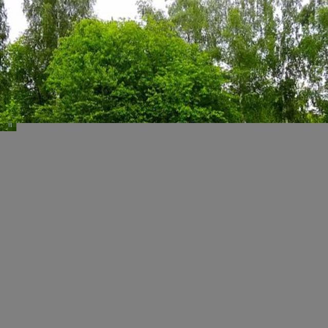 Интересно в Томске