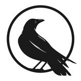 CRYPTO CROW
