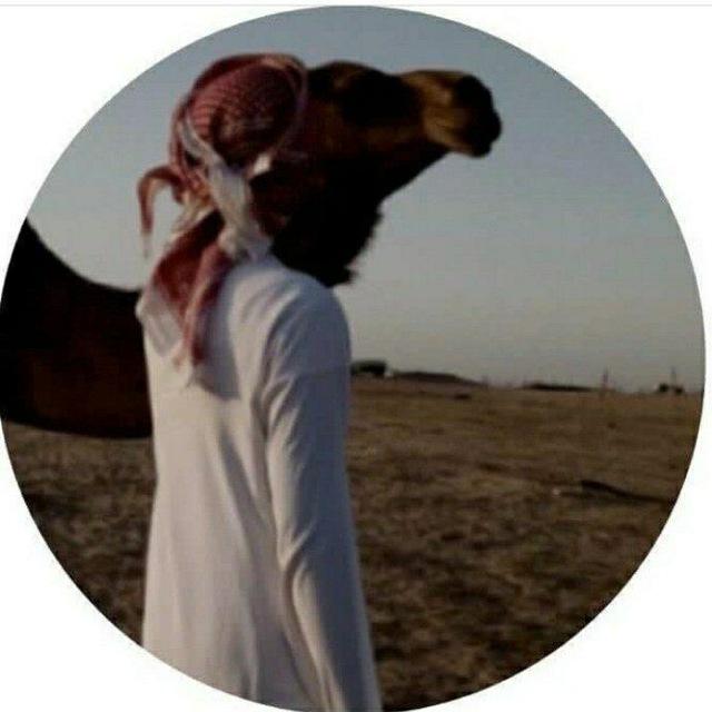 ꧁༼ قصايد واشعار ༽꧂