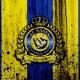 ⚽️ AL NASSR | RONALDO