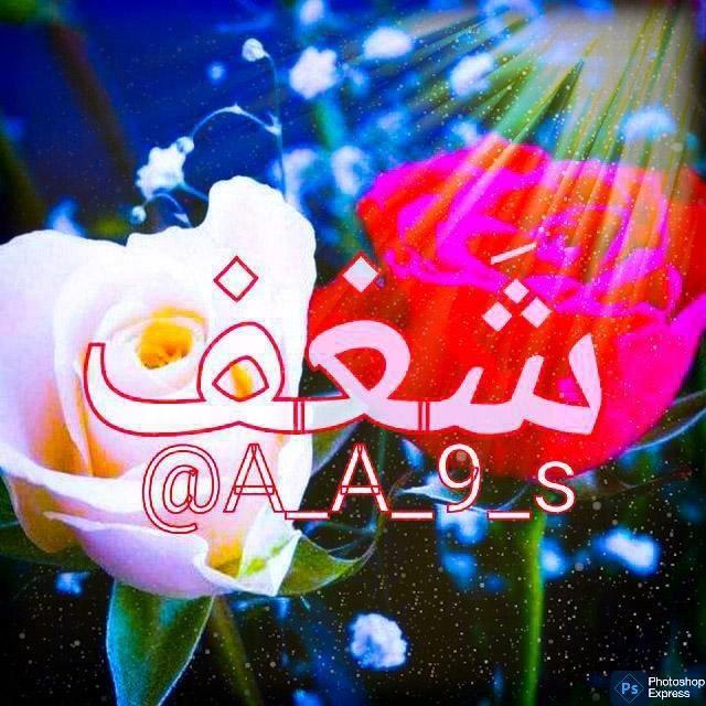 SHAGHAF|🇾🇪 اقتباسات شَغف