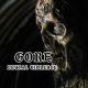 GORE BRUTAL VIOLENCE
