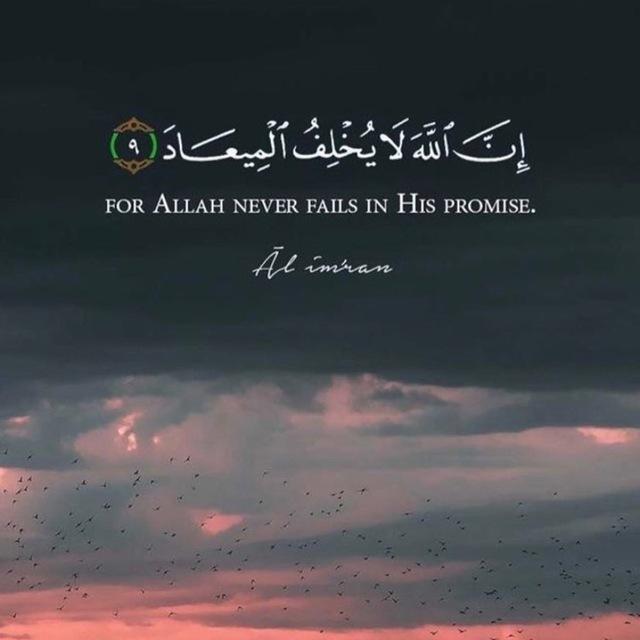 فديوهات‏ ‏قرآنية