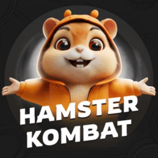 Hamster Kombat Combo Daily