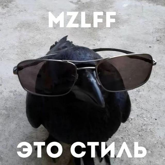 😼 Mazellovvv Confession ❄️