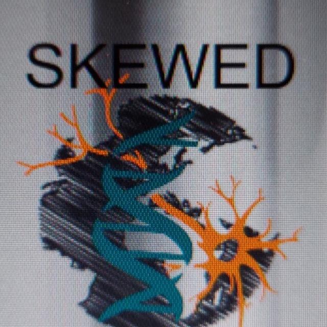 Skewed World