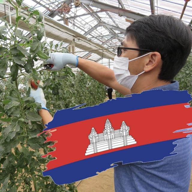 កសិកម្មខ្មែរ • 𝗔𝗻𝗮𝗸 𝗦𝗮𝗻 𝗝𝗣