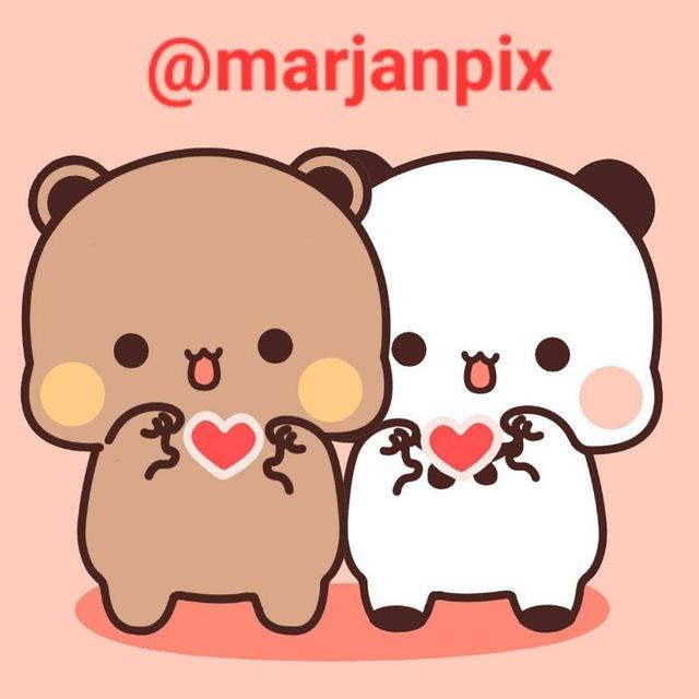🐻🐼marjanpix🐻🐼
