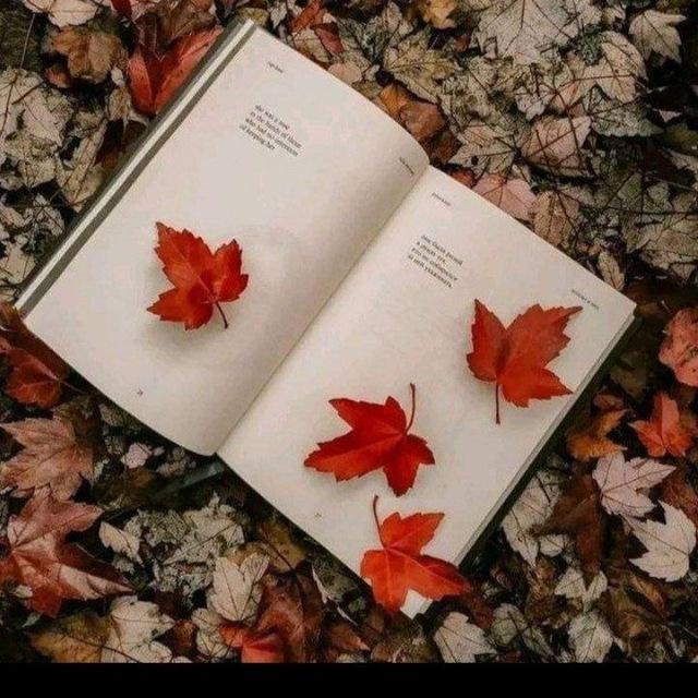 قصص وروايات