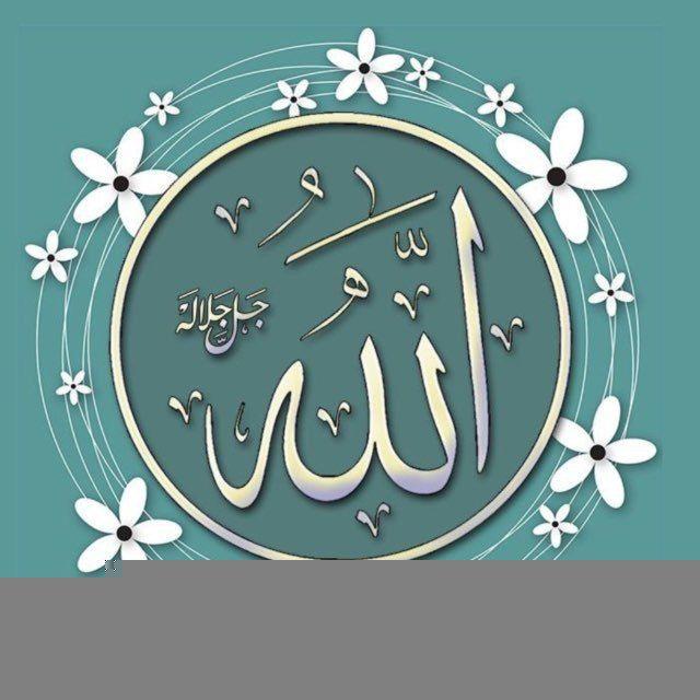نور القرآن