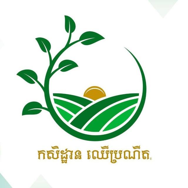 កសិដ្ធាន ឈើប្រណិត Chhanel