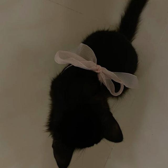 ... sweetiepie