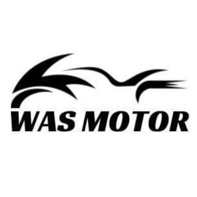 WAS MOTOR