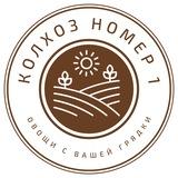 КОЛХОЗ НОМЕР 1