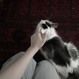 ㅤ
