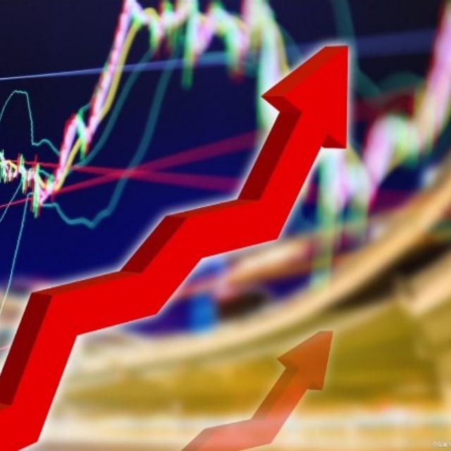 每日金狗