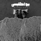 • Bio | بیو انگلیسی