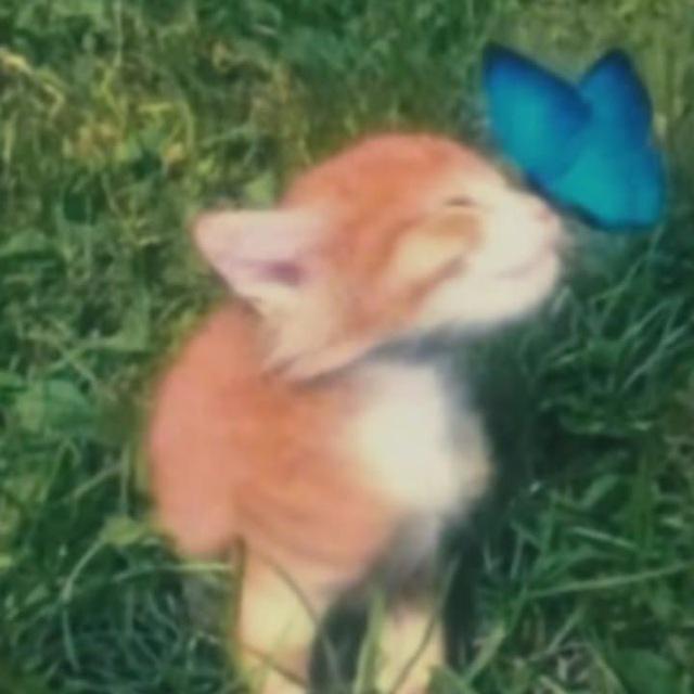 new wave • telegram news