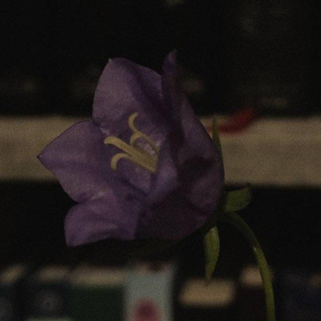 فـجـر