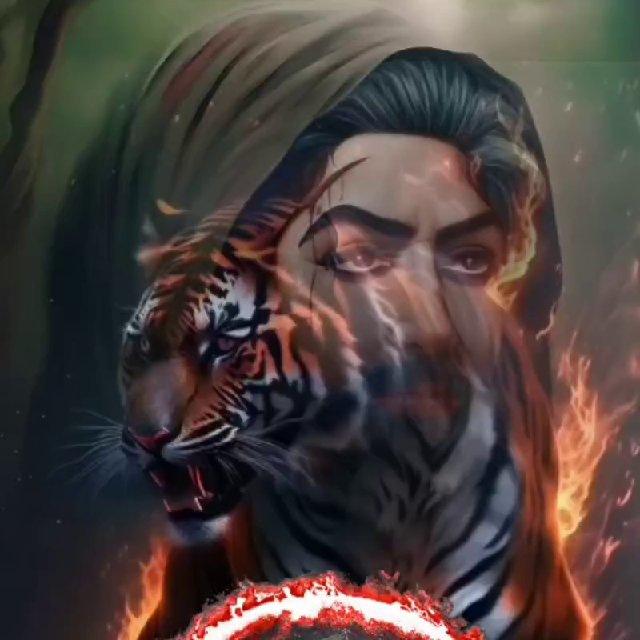 انصار الامام المهدي عج 313