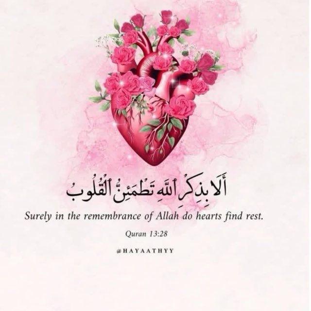 رسائل قرآنية 🌿