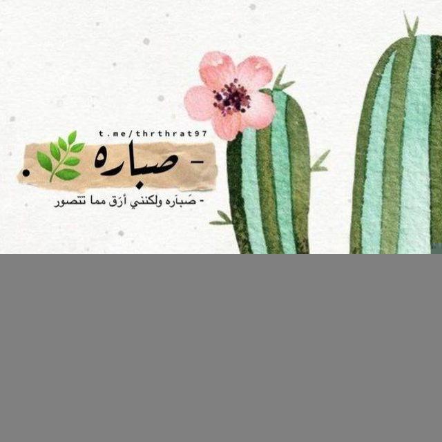 صـــبـــارة. 🌵