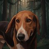 Leroy.group🐾 помощь бездомным животным!