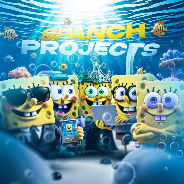 🧽 Spanch PROJECTS