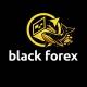 🐋 Black Forex📉📈🐋