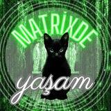 Matrixde Yaşam Grubu