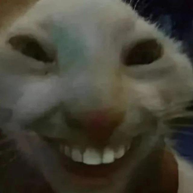 DQK CU BE