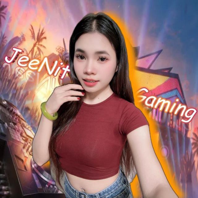 JeeNit Gaming