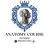 ⚜️ Anatomy Course ⚜️
