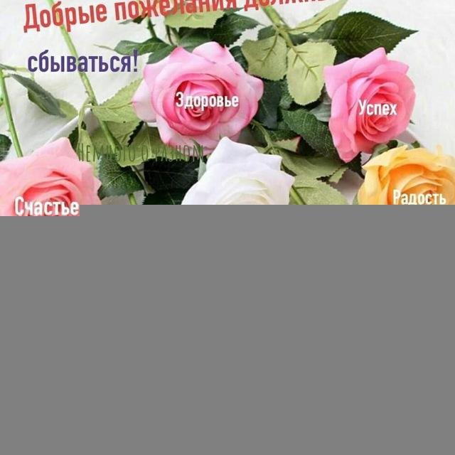 💦™₇₂На все случаи жизни...🎆