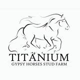 Libontova 🍀 Titanium Stud Farm