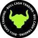 Bull Cash trading📊🤑