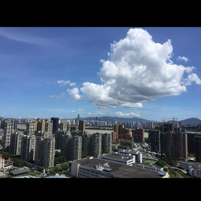 招聘 智联 58 交流乐园
