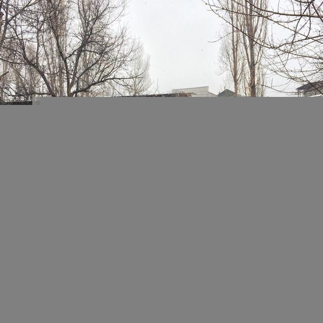 Токмокский Пчеловод