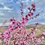 🍃ارتباطات فرهنگی و اجتماعی ایجان🍃